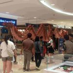 Barongsai Naga Merah Atraksi di Sun Plaza Barongsai