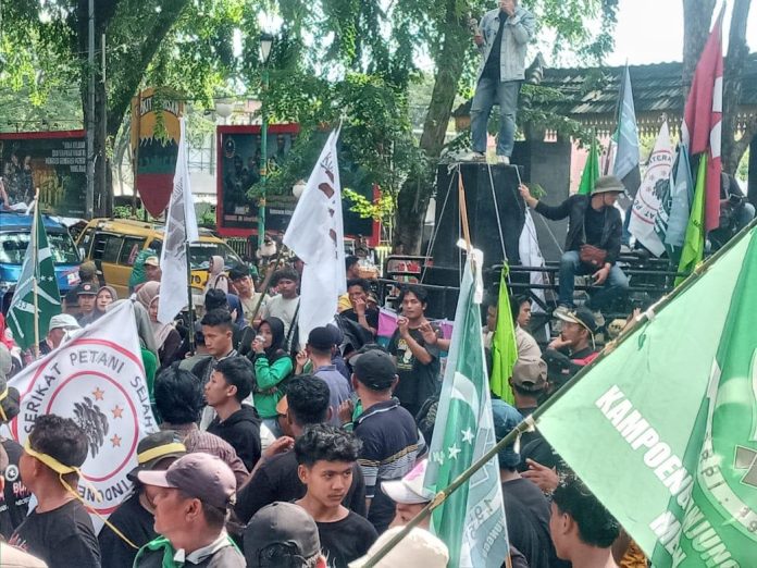 Petani