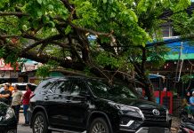 Waspada, Pohon Tumbang Timpa Fortuner di Jalan Aksara Medan Pohon
