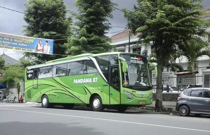 Bus
