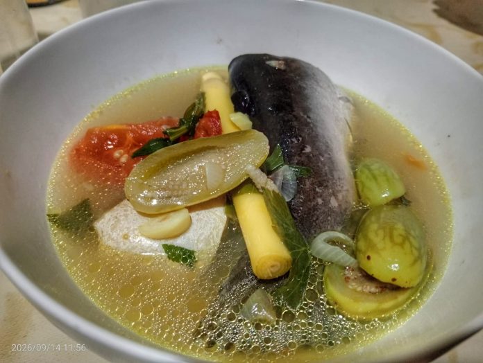 Ikan patin