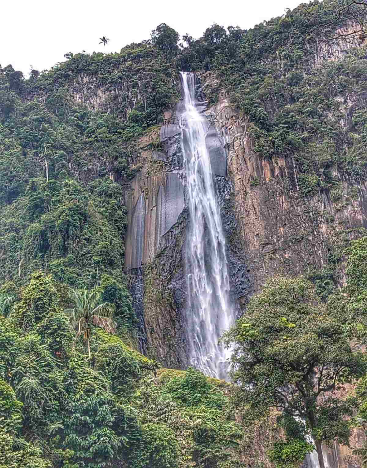 Wisata