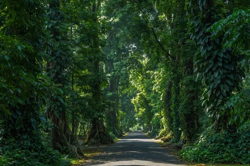 Lima Destinasi Wisata di Indonesia Peduli Penyandang Disabilitas 2 Wisata